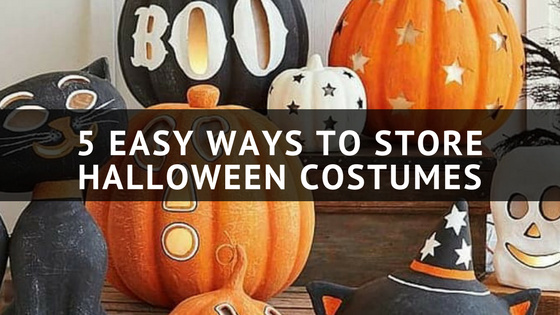 https://cdn.personalministorage.com/wp-content/uploads/2022/09/5-easy-ways-to-store-halloween-costumes.jpeg