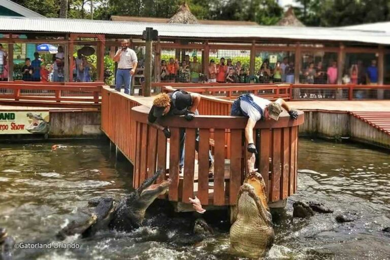 10 MustDo Activities in Kissimmee Personal Mini Storage