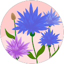 M M. profile picture