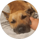 Sara P. profile picture