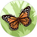 Darnelle F. profile picture